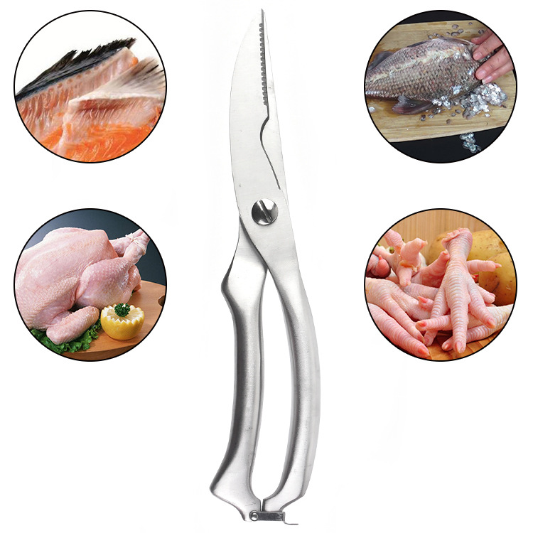 Tijeras de acero inoxidable pa - Kitchen Gadgets And Appliances reseña y precio