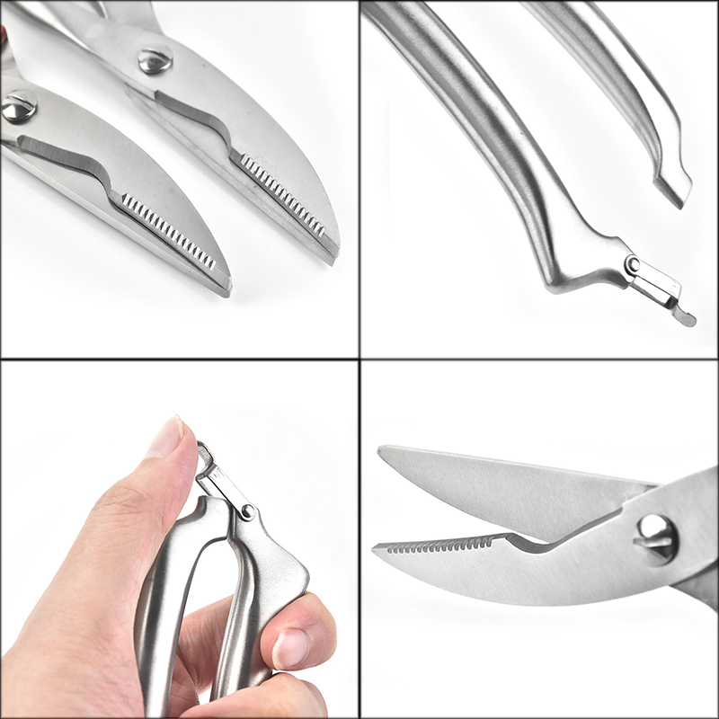 Tijeras de acero inoxidable pa - Kitchen Gadgets And Appliances reseña y precio